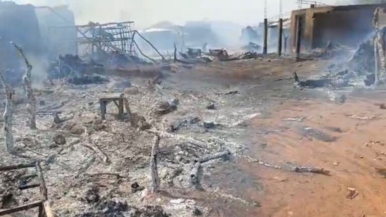 Niger : une frappe de drone sur le marché de Kokoloko fait 17 morts civils