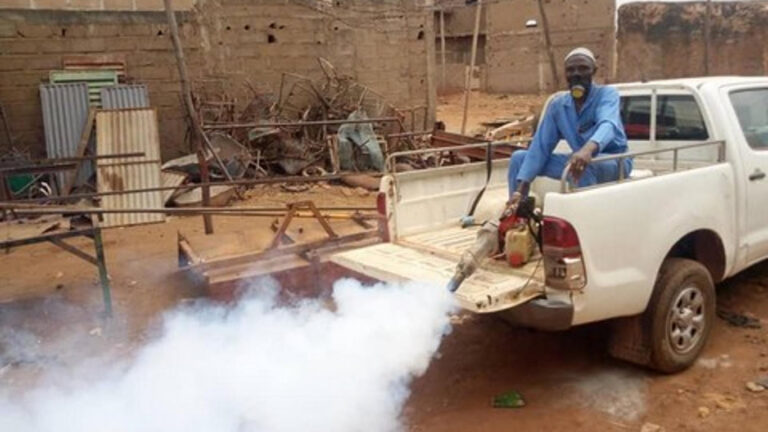 Dengue au Mali : une épidémie sous surveillance accrue