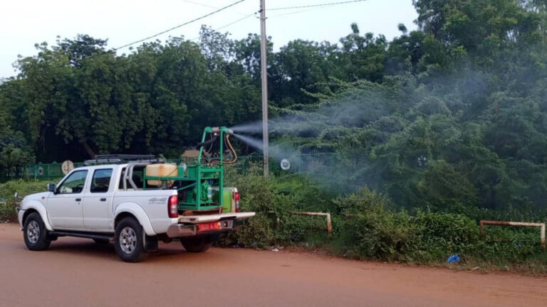 Épidémie de dengue au Burkina Faso : situation et mesures sanitaires