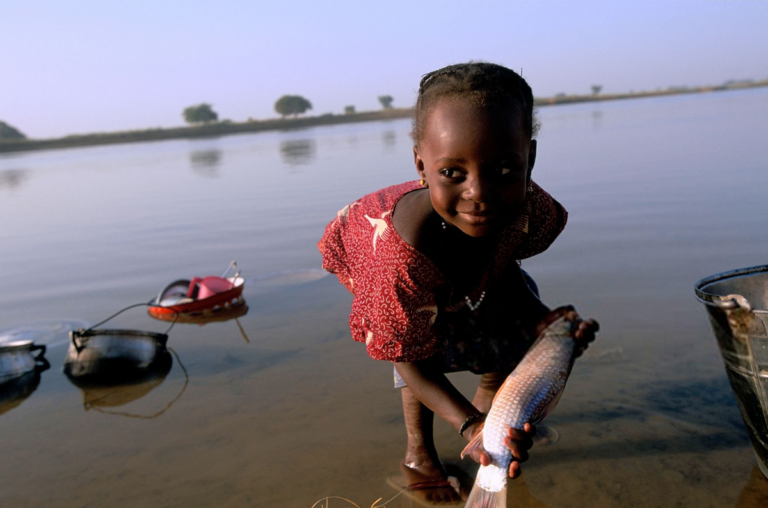 Le Niger premier en afrique à éliminer l&rsquo;onchocercose selon l&rsquo;oms