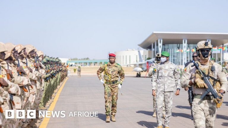 Force unifiée de l&rsquo;ales : défis et stratégies pour un Sahel sécurisé