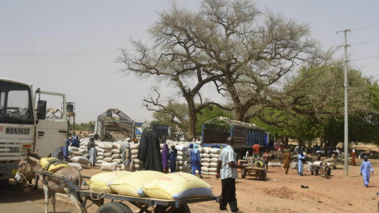 Crise humanitaire au Niger : afflux massif de déplacés à téra sous menace armée