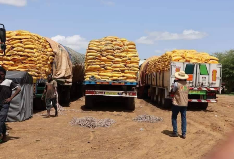 Burkina faso : la junte militaire face à l&rsquo;échec de sa souveraineté alimentaire malgré les aides internationales