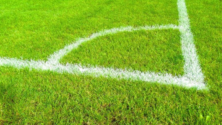 Nice – Saint-Étienne : un match retour sous haute tension pour une place en Ligue 1