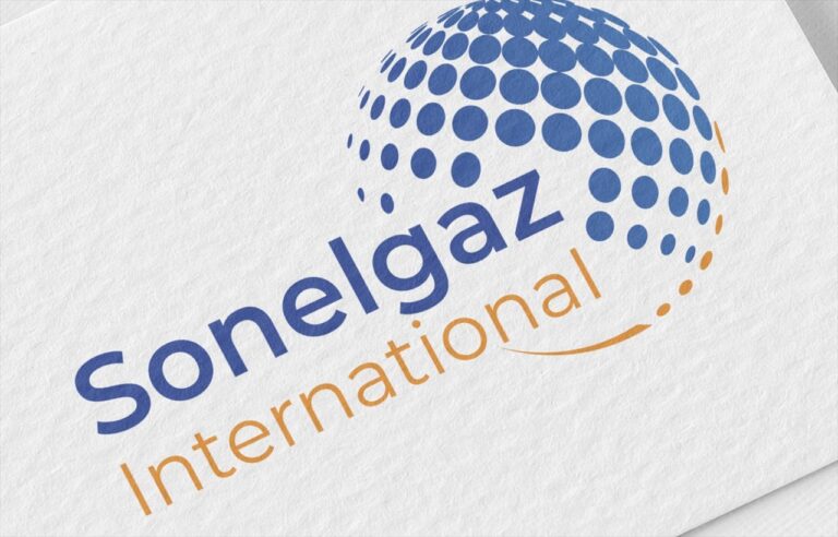 Tchad : Sonelgaz investit dans une centrale électrique innovante à 40 mw