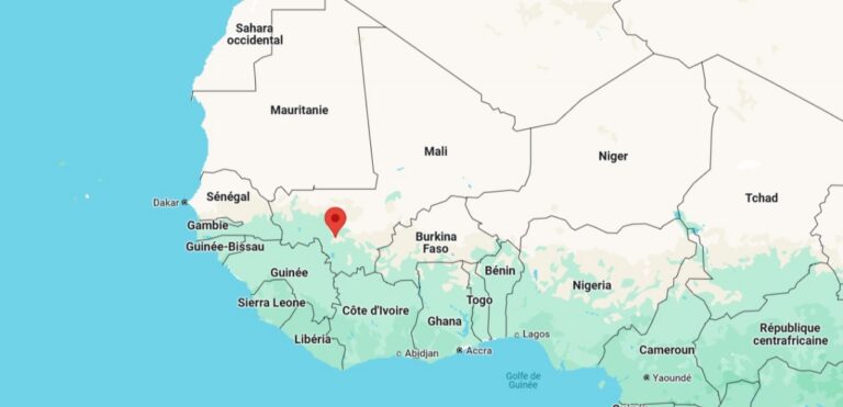 Manifestation à Bamako : défense de la démocratie face à la junte
