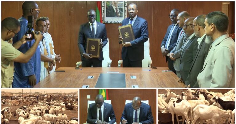 Approvisionnement de la Tabaski : la Mauritanie s&rsquo;apprête à livrer 450 000 moutons au Sénégal