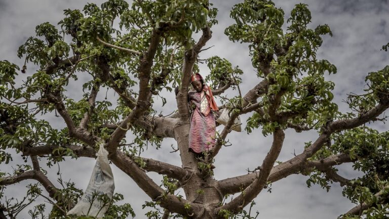 Le Niger face à une crise économique sans précédent : le quotidien de la faim à Zinder