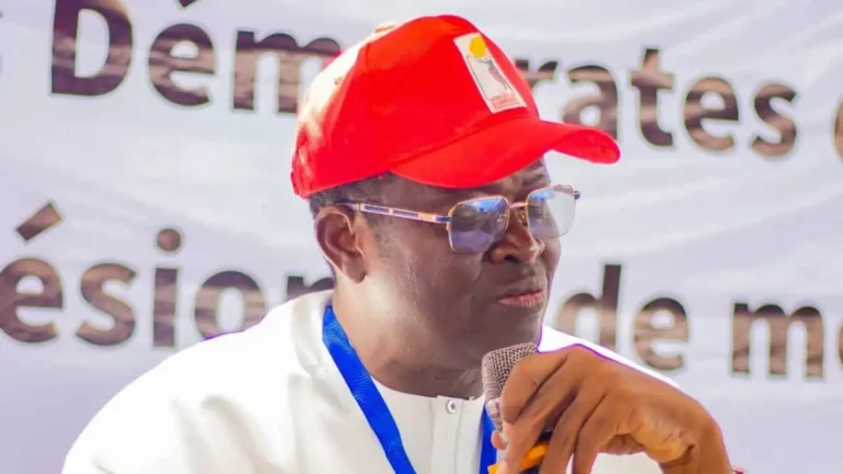 Bénin : statut de l&rsquo;opposition et rôle du parti ld après les élections