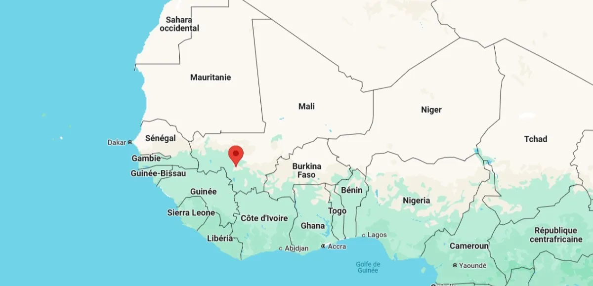 manifestation à Bamako contre une possible dissolution des partis politiques