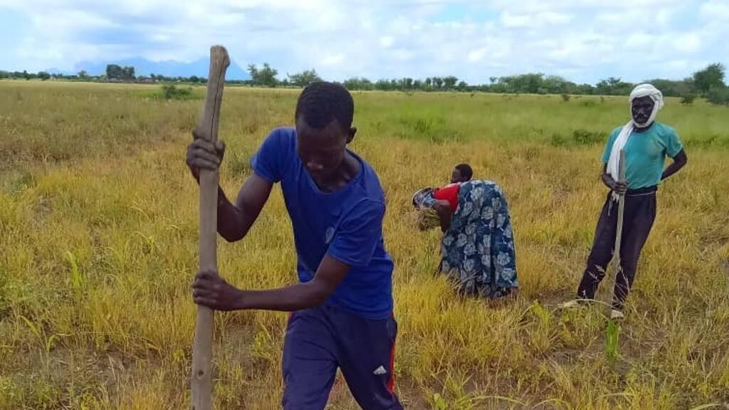 Un paysan délimite sa surface agricole lors du CEP.