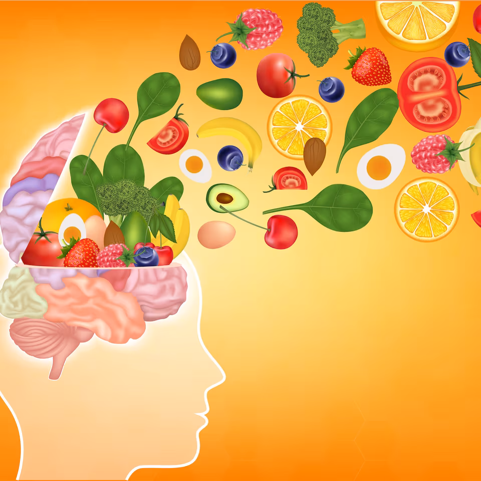 Si aucun aliment ne permet à lui seul de prévenir Alzheimer, plusieurs études suggèrent qu’une alimentation équilibrée pourrait influencer la santé du cerveau sur le long terme. Les scientifiques tentent désormais d’identifier les nutriments les plus impliqués dans ce phénomène. © Adisak, Adobe Stock