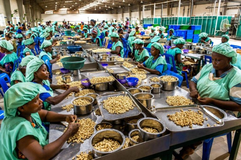 Le Bénin accélère sa marche vers la souveraineté alimentaire par la transformation locale