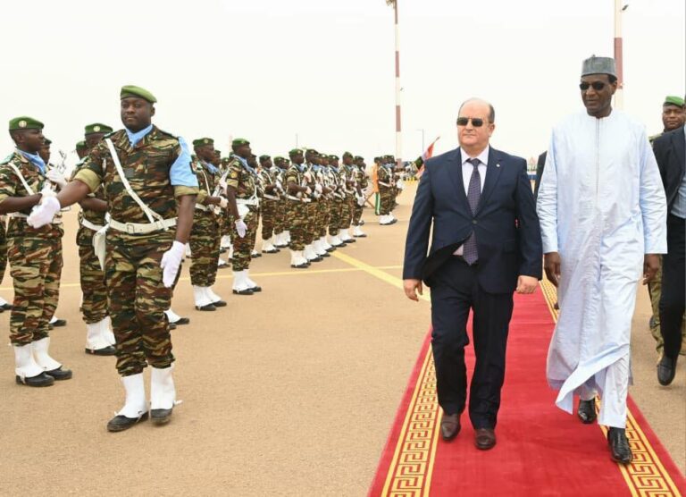 Fin de mission diplomatique à Niamey pour le chef du gouvernement