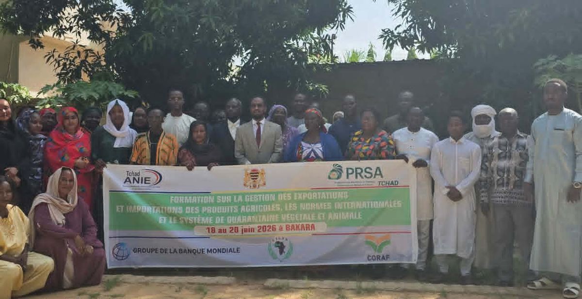 Bakara : les acteurs agricoles tchadiens formés aux normes d'exportation