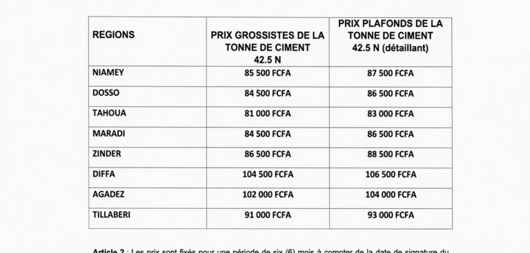 Niger : l&rsquo;encadrement des prix du ciment, une mesure palliative aux limites évidentes