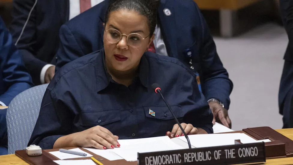 Réunion du Conseil de sécurité de l'ONU sur les ressources naturelles en RDC