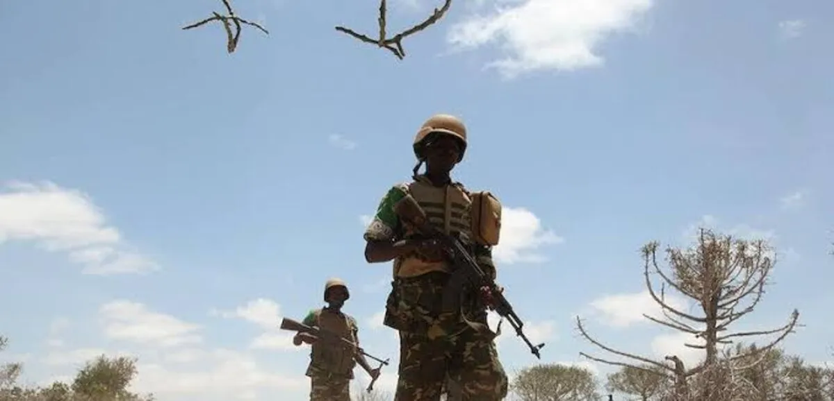 frappes aériennes au Mali : dégâts humanitaires