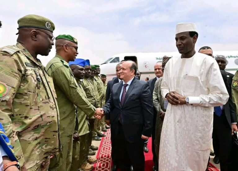 La fibre optique transsaharienne peut-elle vraiment sécuriser l&rsquo;avenir numérique du Sahel ?