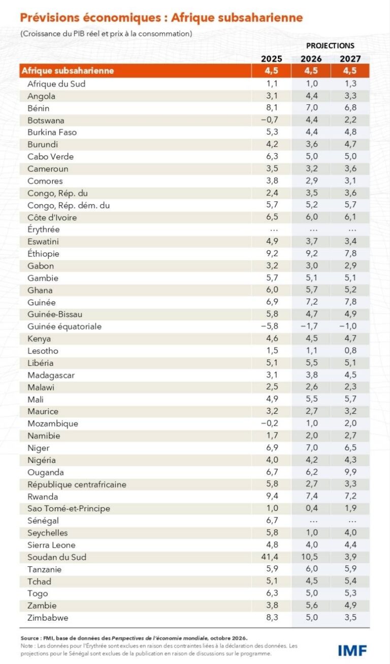 Bénin : l&rsquo;effet d&rsquo;entraînement économique qui redessine la carte de l&rsquo;Afrique de l&rsquo;Ouest