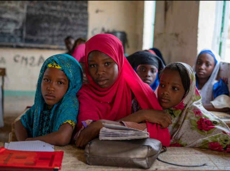 Diffa : le tournant qui brise les barrières de l&rsquo;exclusion scolaire au Niger